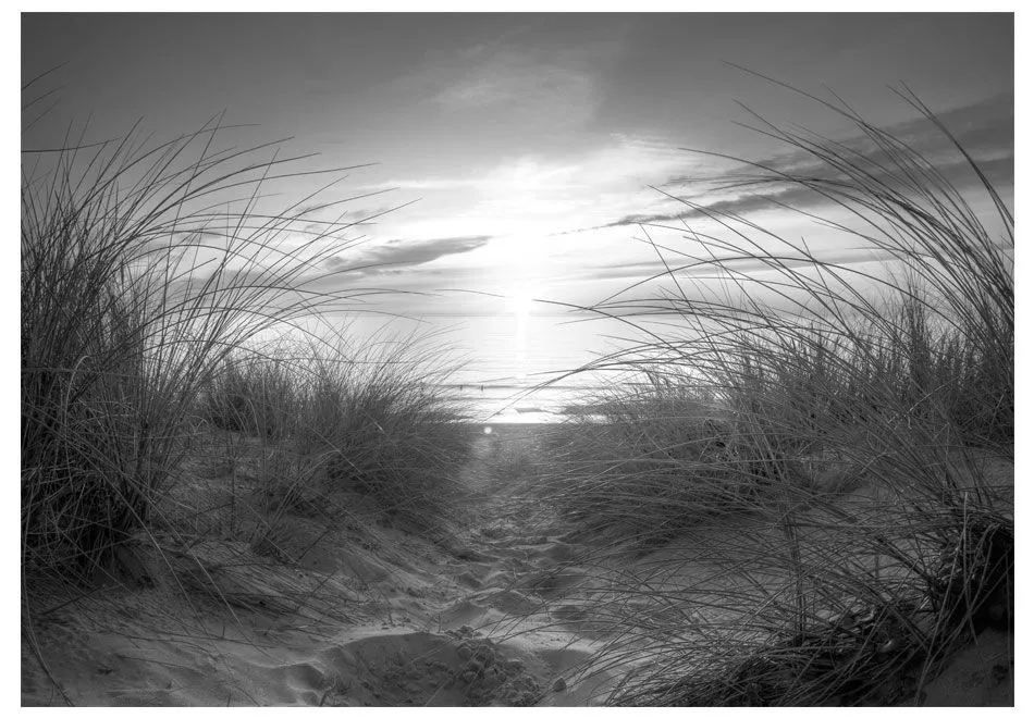 Fototapeta - plaża (czarno-biały)-2