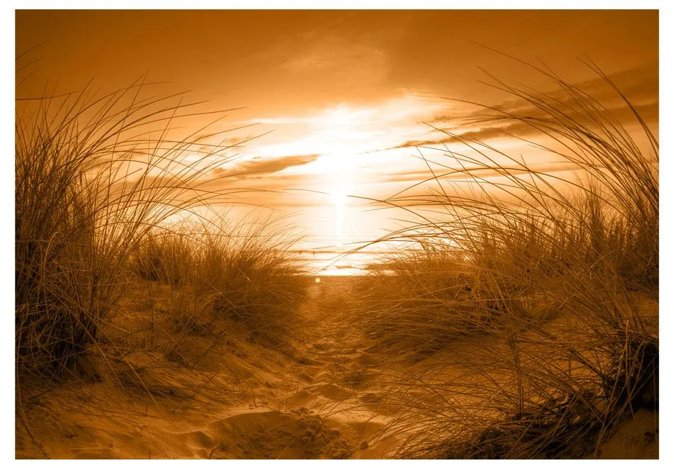 Fototapeta - plaża (sepia)-2