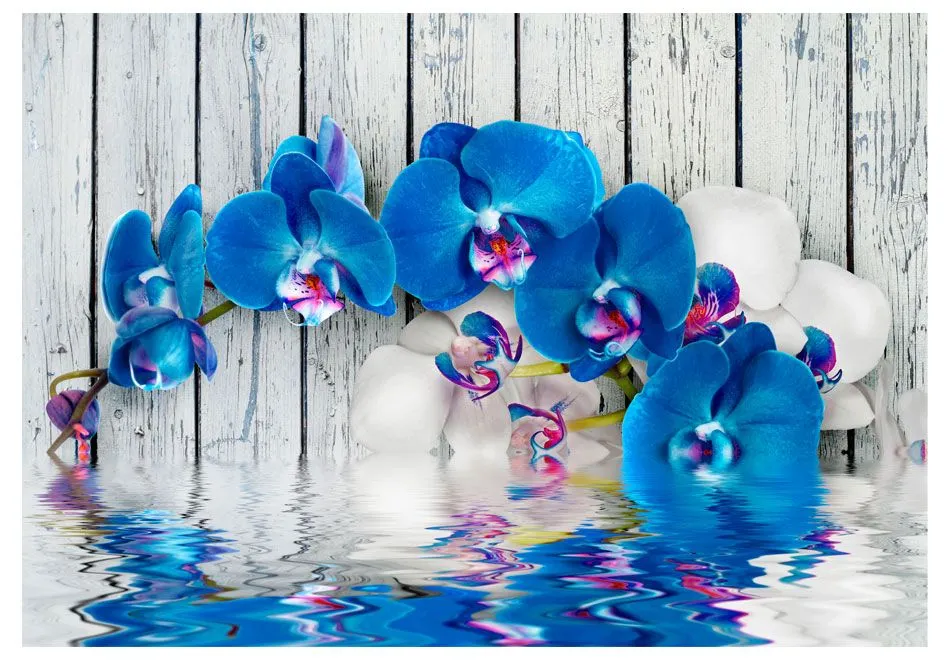 Fototapeta - Kobaltowa orchidea-2