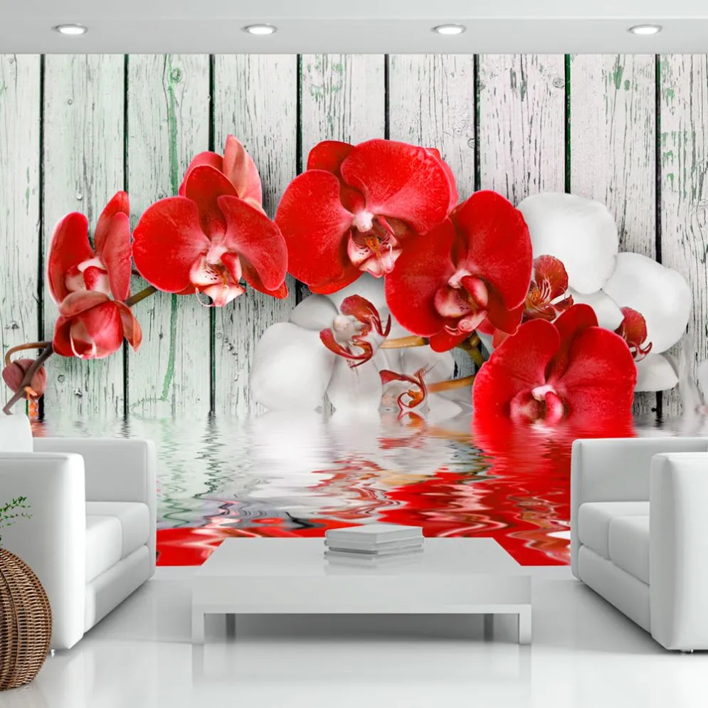 Fototapeta - Rubinowa orchidea-1