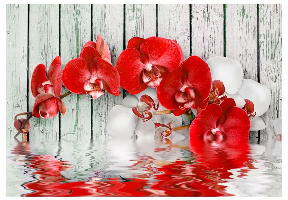 Fototapeta - Rubinowa orchidea-2