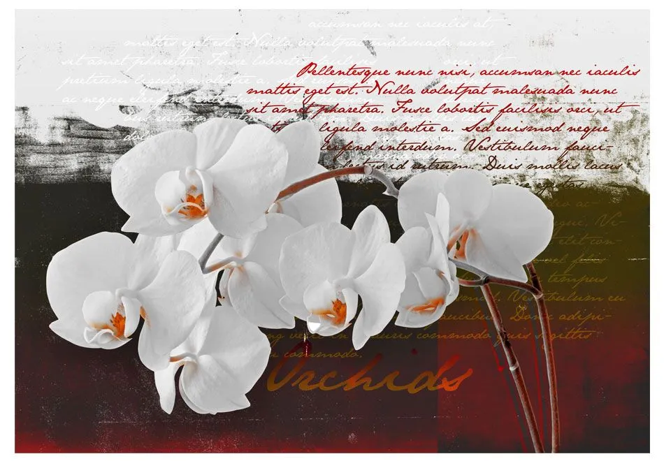 Fototapeta - Pamiętnik i orchidea-2