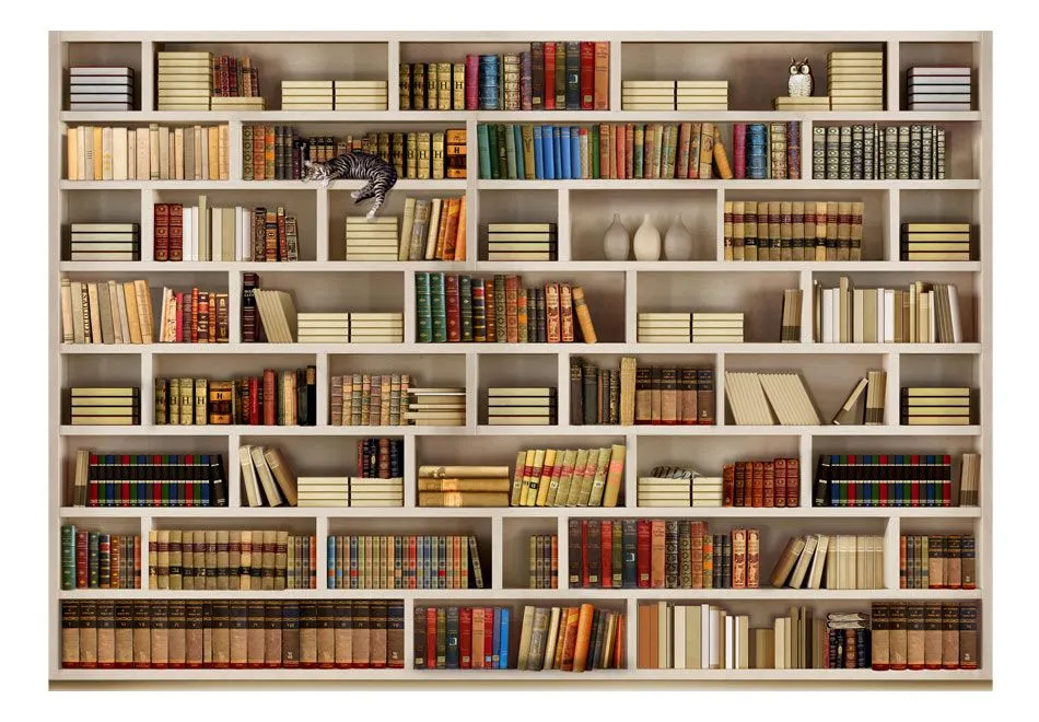 Fototapeta - Domowa biblioteczka-2