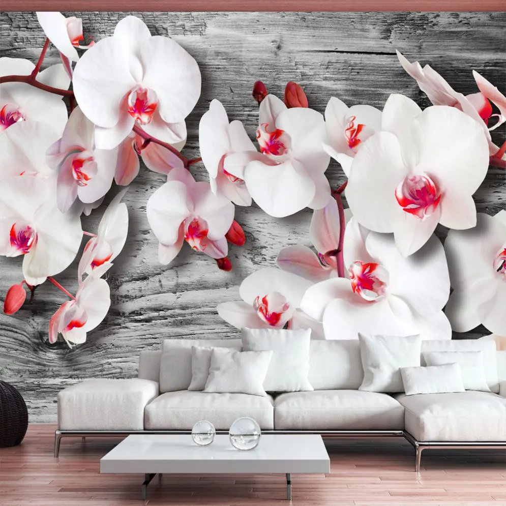 Fototapeta - Oziębłe orchidee-1