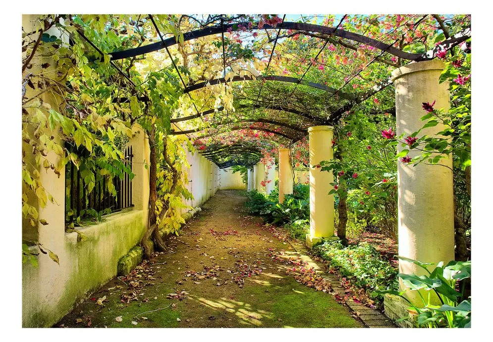 Fototapeta - Pergola-2