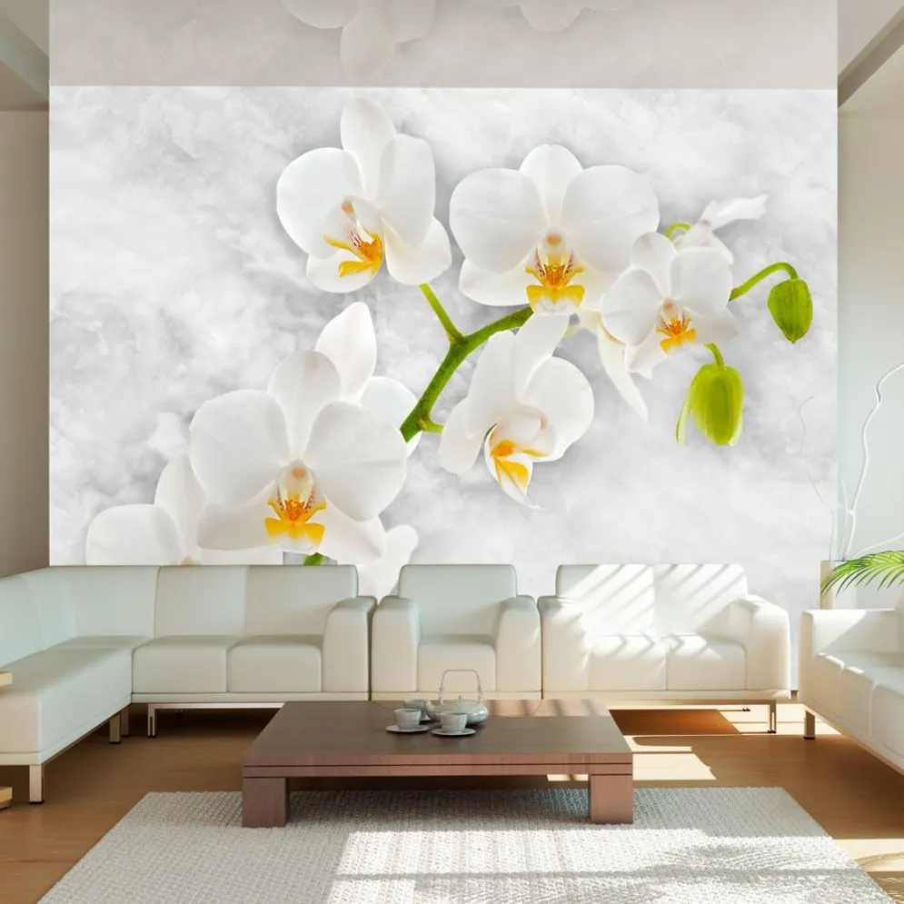 Fototapeta - Liryczna orchidea - biel-1