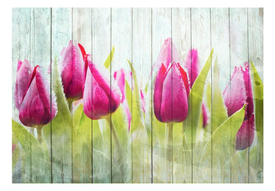 Fototapeta - Tulipany na białym drewnie-2