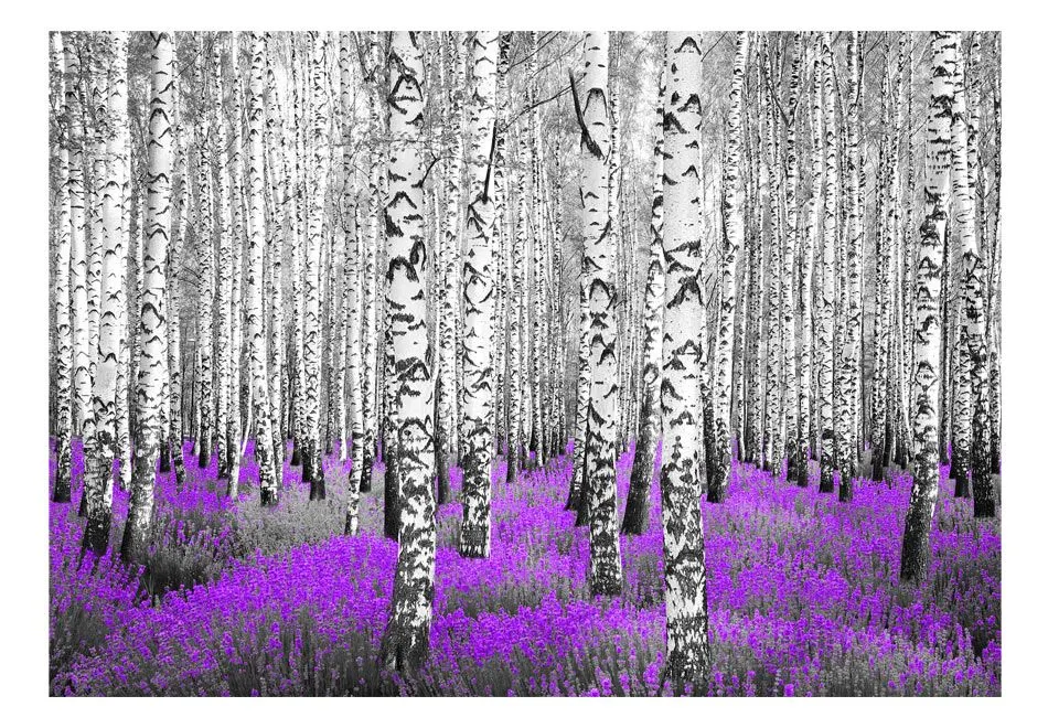 Fototapeta - Purpurowy azyl-2