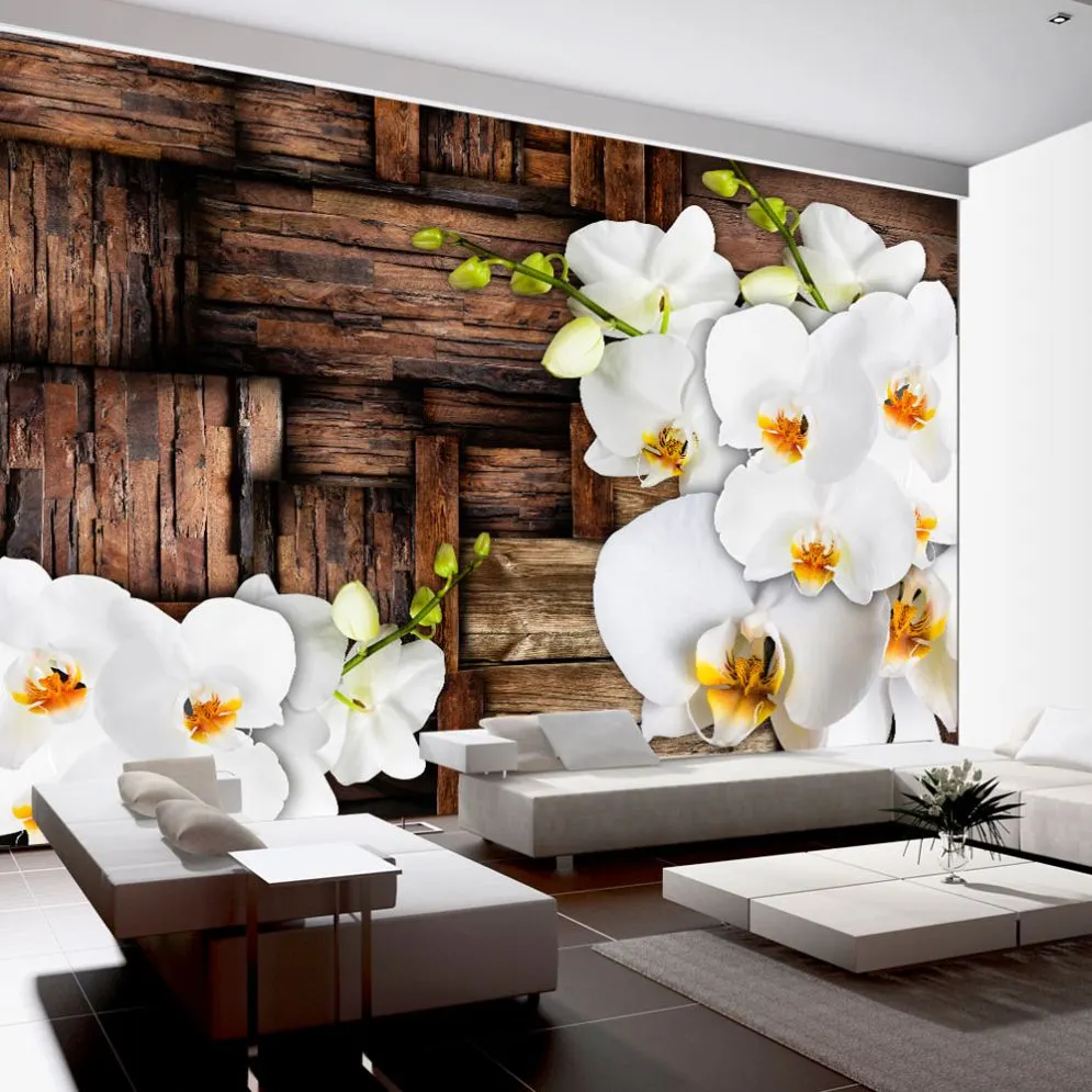 Fototapeta - Kwitnące orchidee-1
