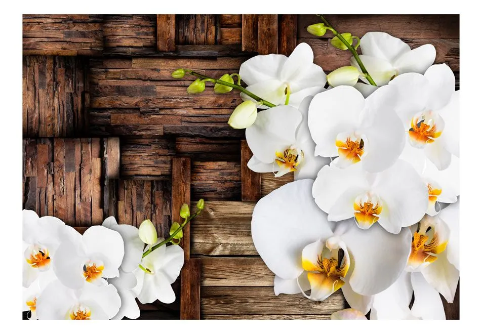 Fototapeta - Kwitnące orchidee-2