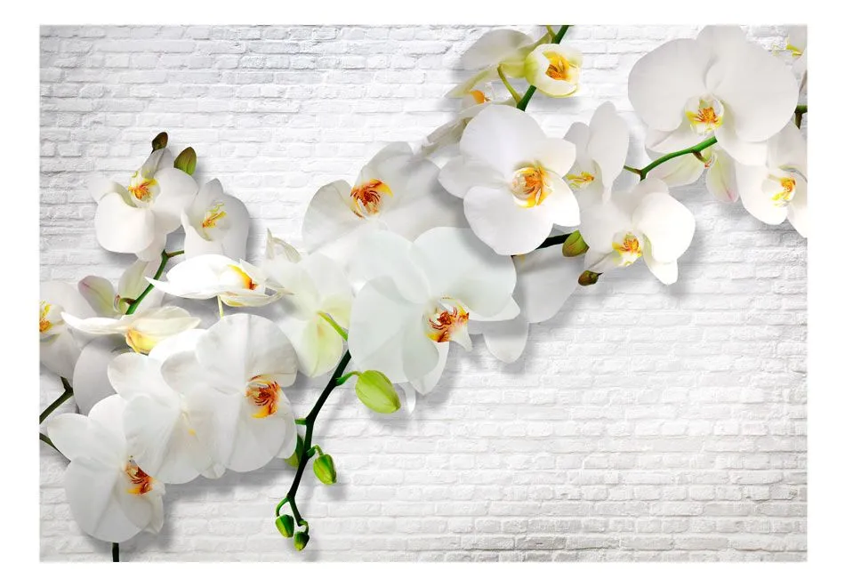 Fototapeta - Miejska orchidea-2