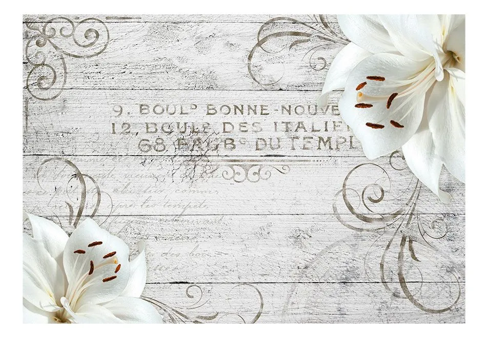 Fototapeta - Bonne Nouvelle-2