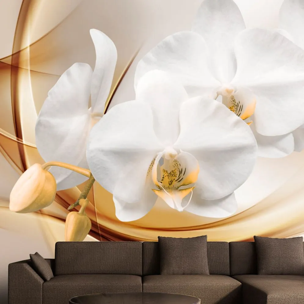 Fototapeta - Kwiat orchidei-1