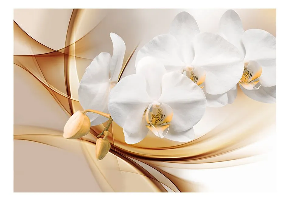 Fototapeta - Kwiat orchidei-2