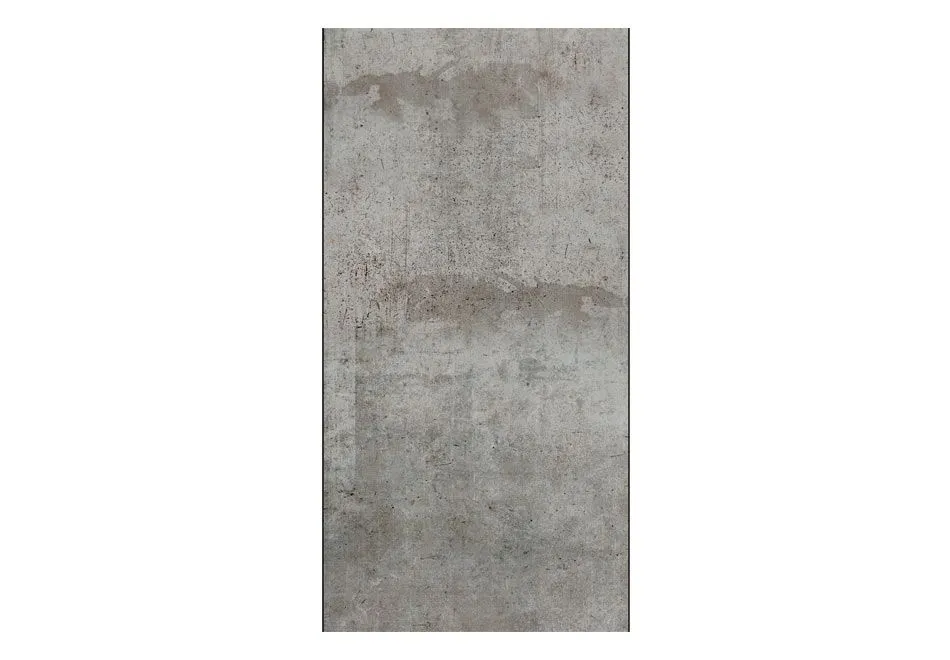 Fototapeta - Szary gołąb-2