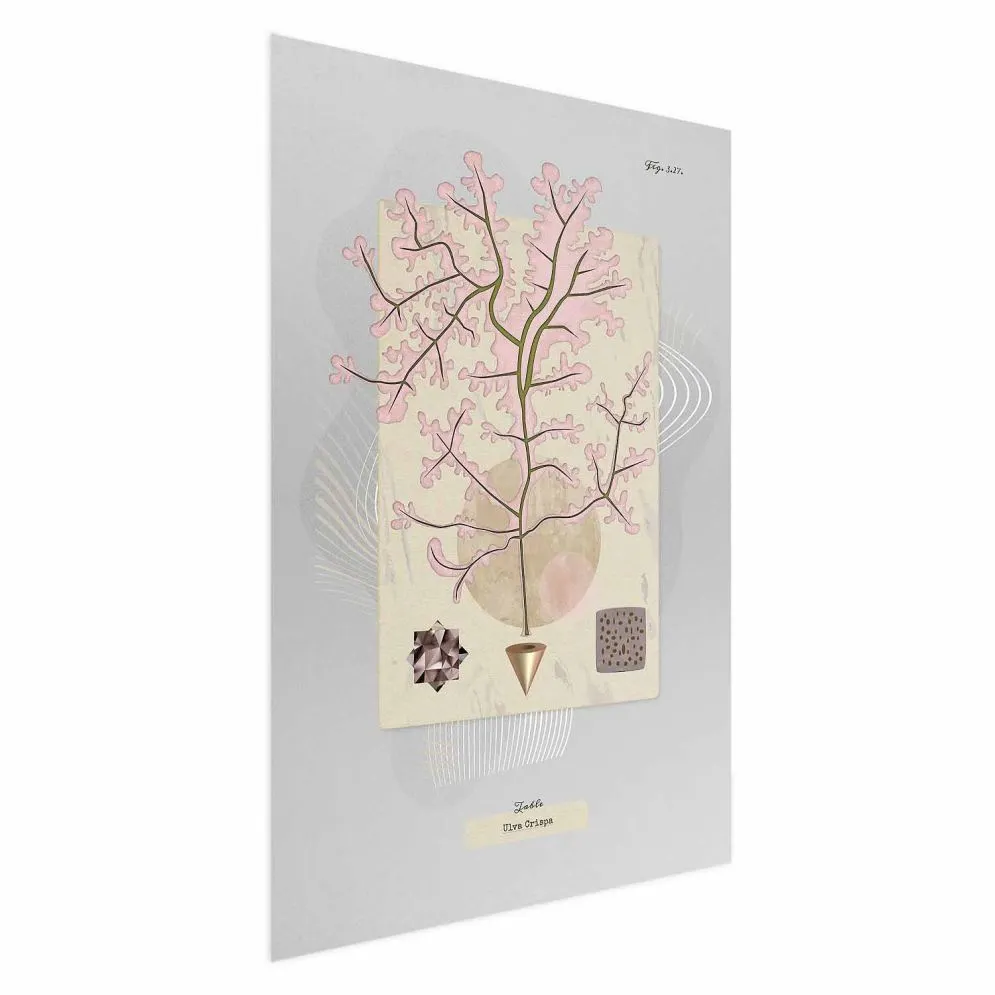 Plakat Tajemnicze drzewko 40x60 cm bez ramy bez marginesu | MIRAT.