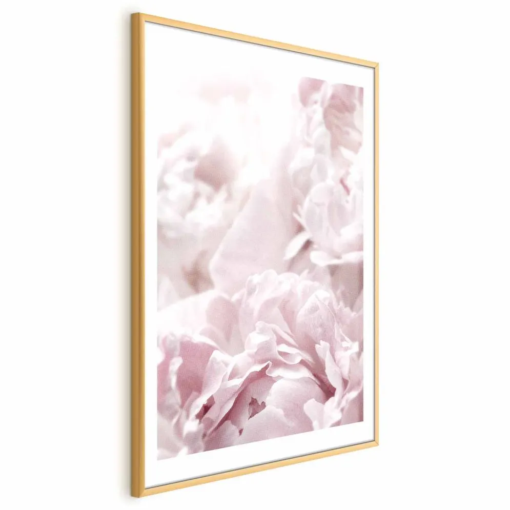 Plakat Puszyste peonie 21x30 cm z ramą złotą z marginesem | MIRAT.