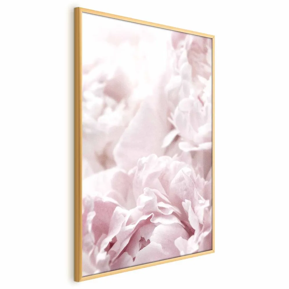 Plakat Puszyste peonie 21x30 cm z ramą złotą bez marginesu | MIRAT.