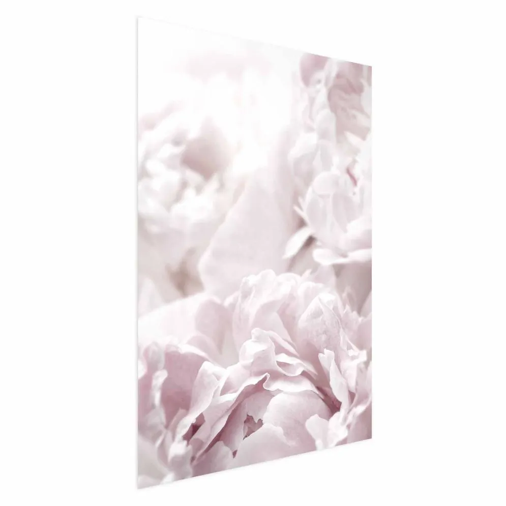 Plakat Puszyste peonie 21x30 cm bez ramy bez marginesu | MIRAT.