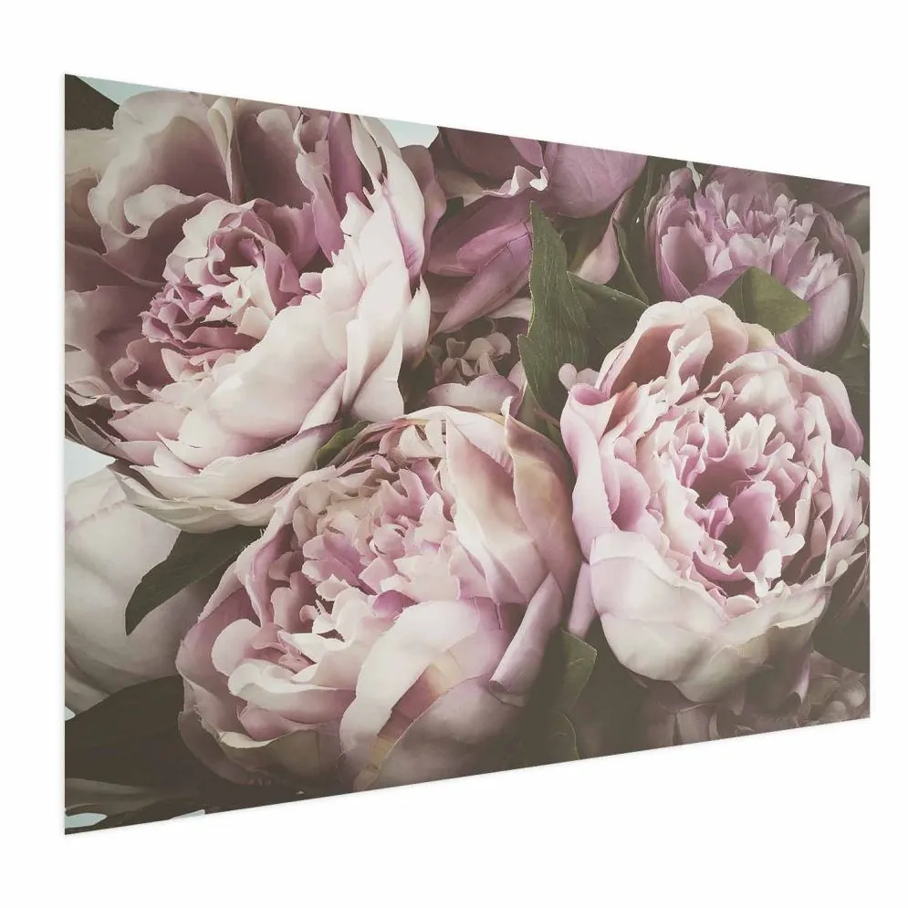 Plakat Różowe piwonie 30x21 cm bez ramy bez marginesu | MIRAT.