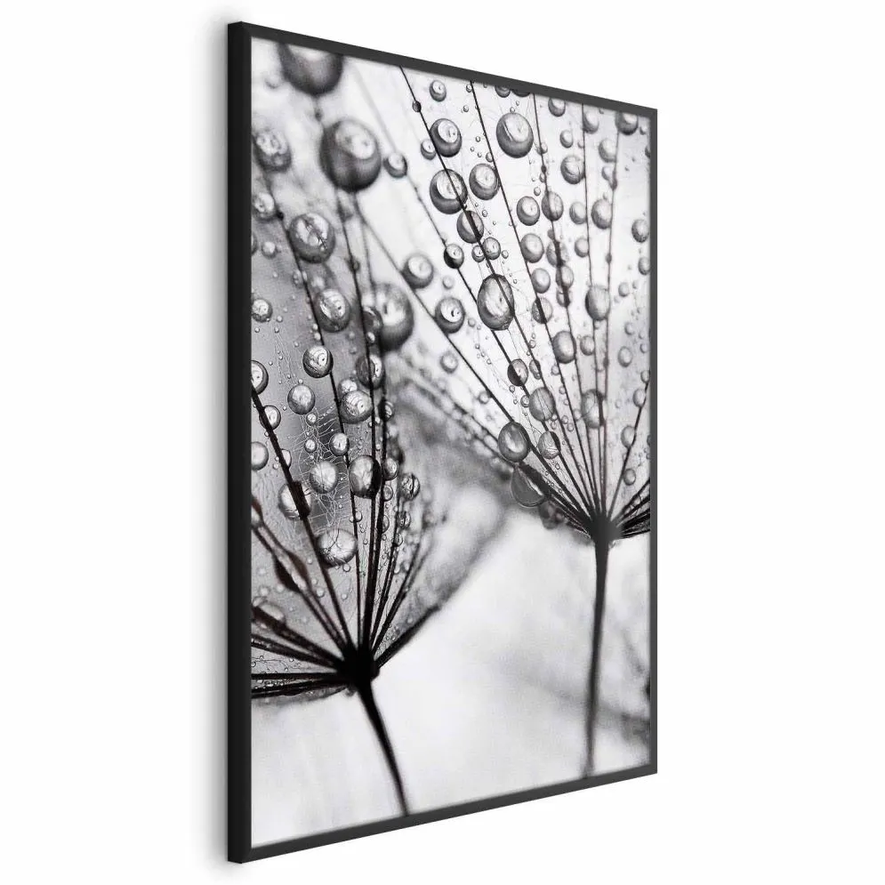 Plakat Rosa 29,7x42 cm z ramą czarną bez marginesu | MIRAT.