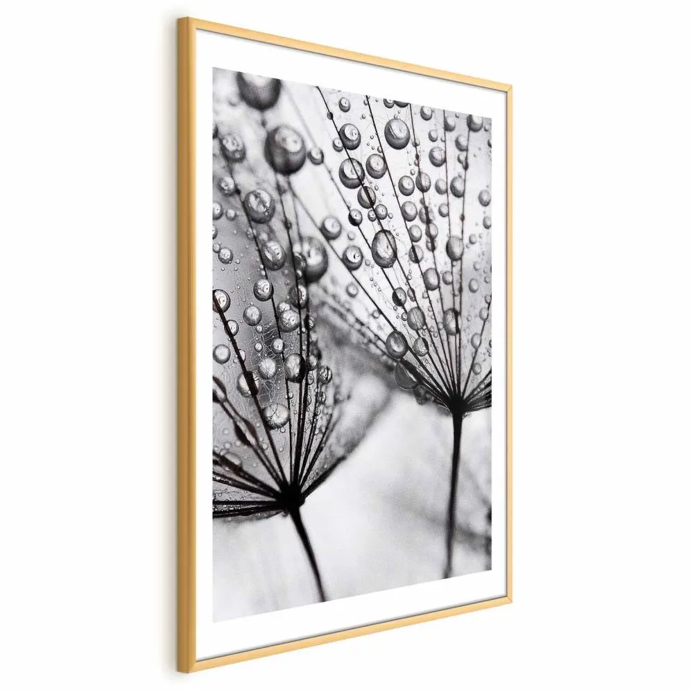 Plakat Rosa 29,7x42 cm z ramą złotą z marginesem | MIRAT.