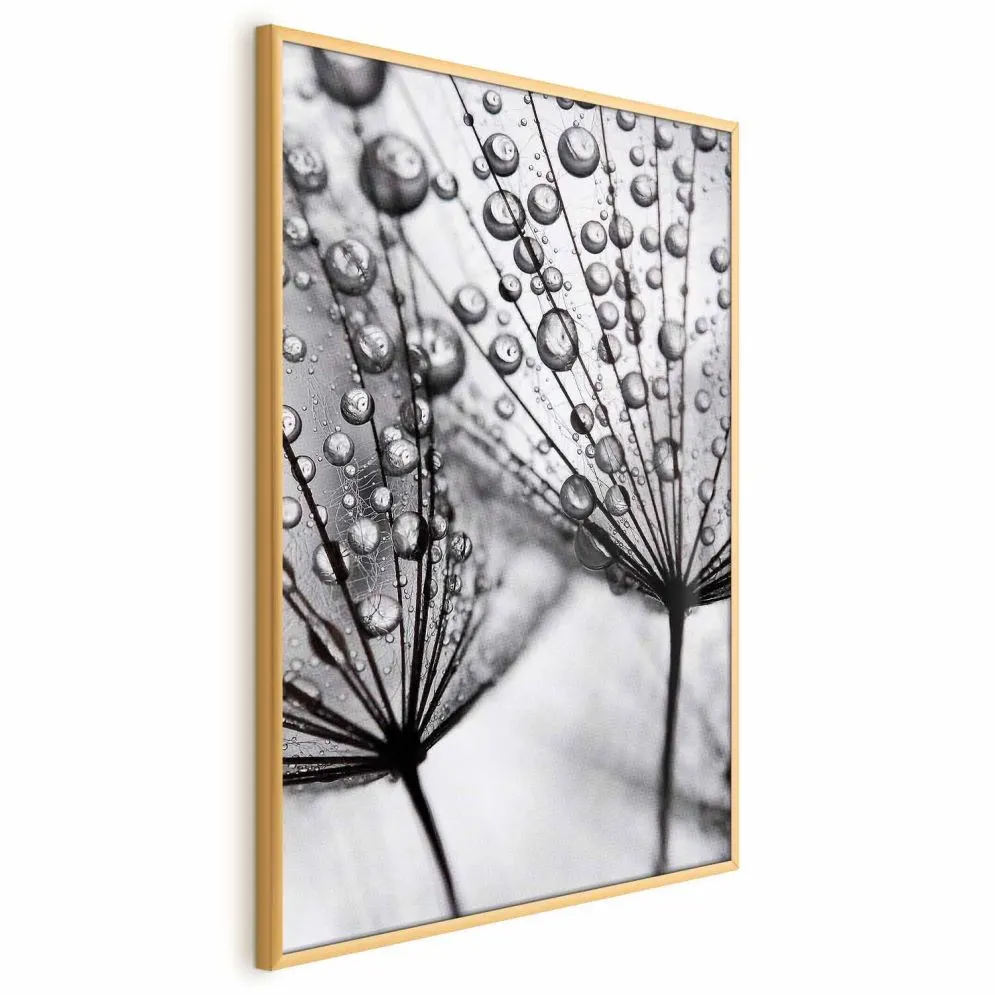 Plakat Rosa 21x30 cm z ramą złotą bez marginesu | MIRAT.