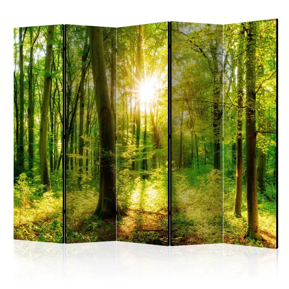 Parawan jednostronny Pejzaże 225x172 cm 5-częściowy zielony | MIRAT.