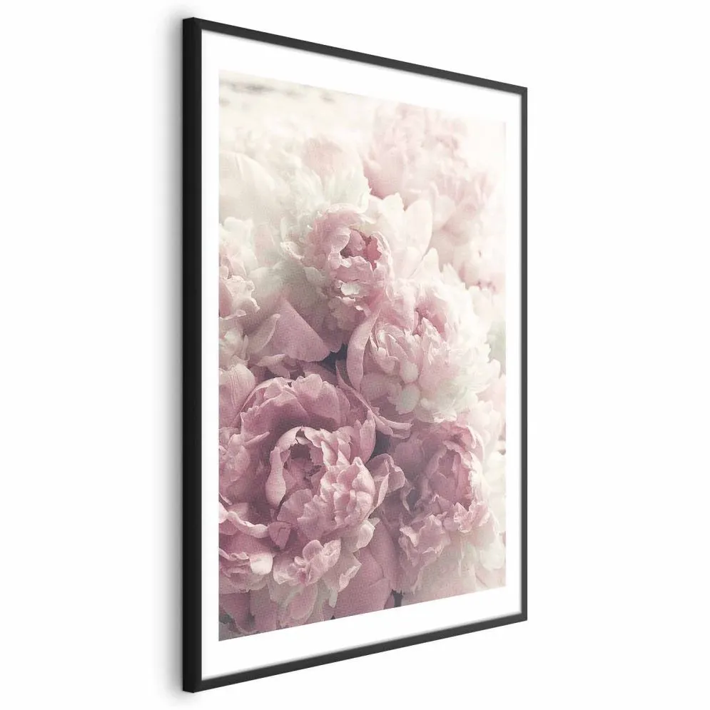 Plakat Delikatne piwonie 60x90 cm z ramą czarną z marginesem | MIRAT.