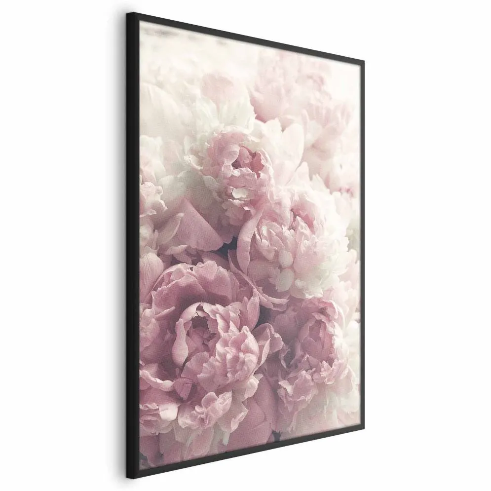 Plakat Delikatne piwonie 40x60 cm z ramą czarną bez marginesu | MIRAT.