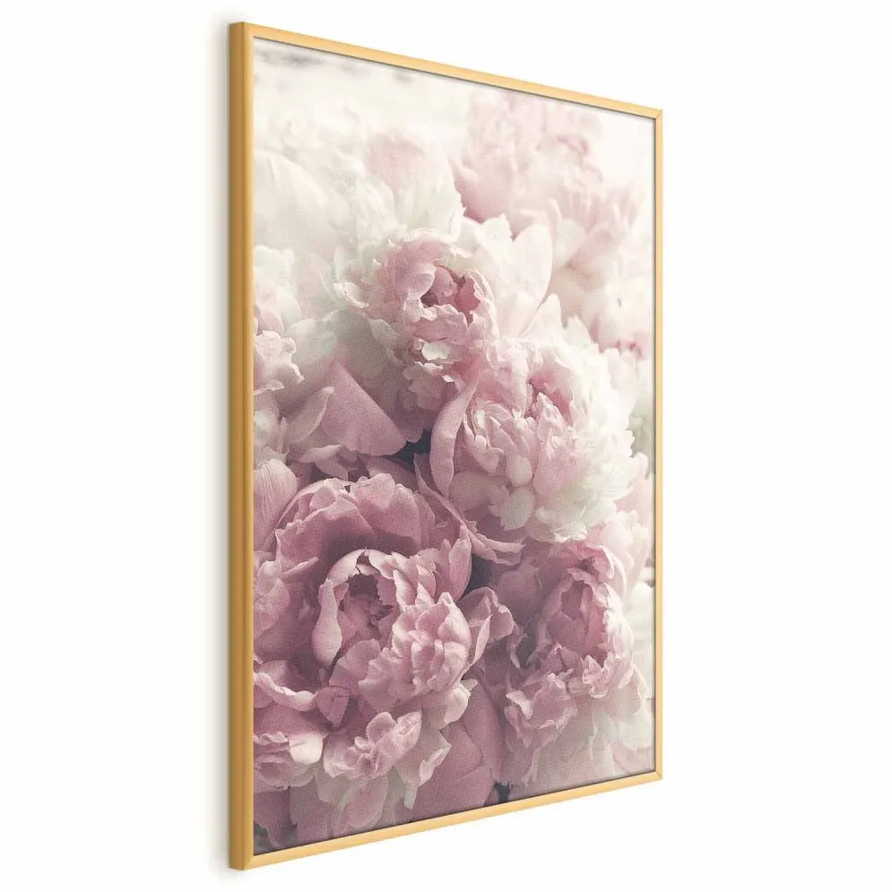 Plakat Delikatne piwonie 21x30 cm z ramą złotą bez marginesu | MIRAT.