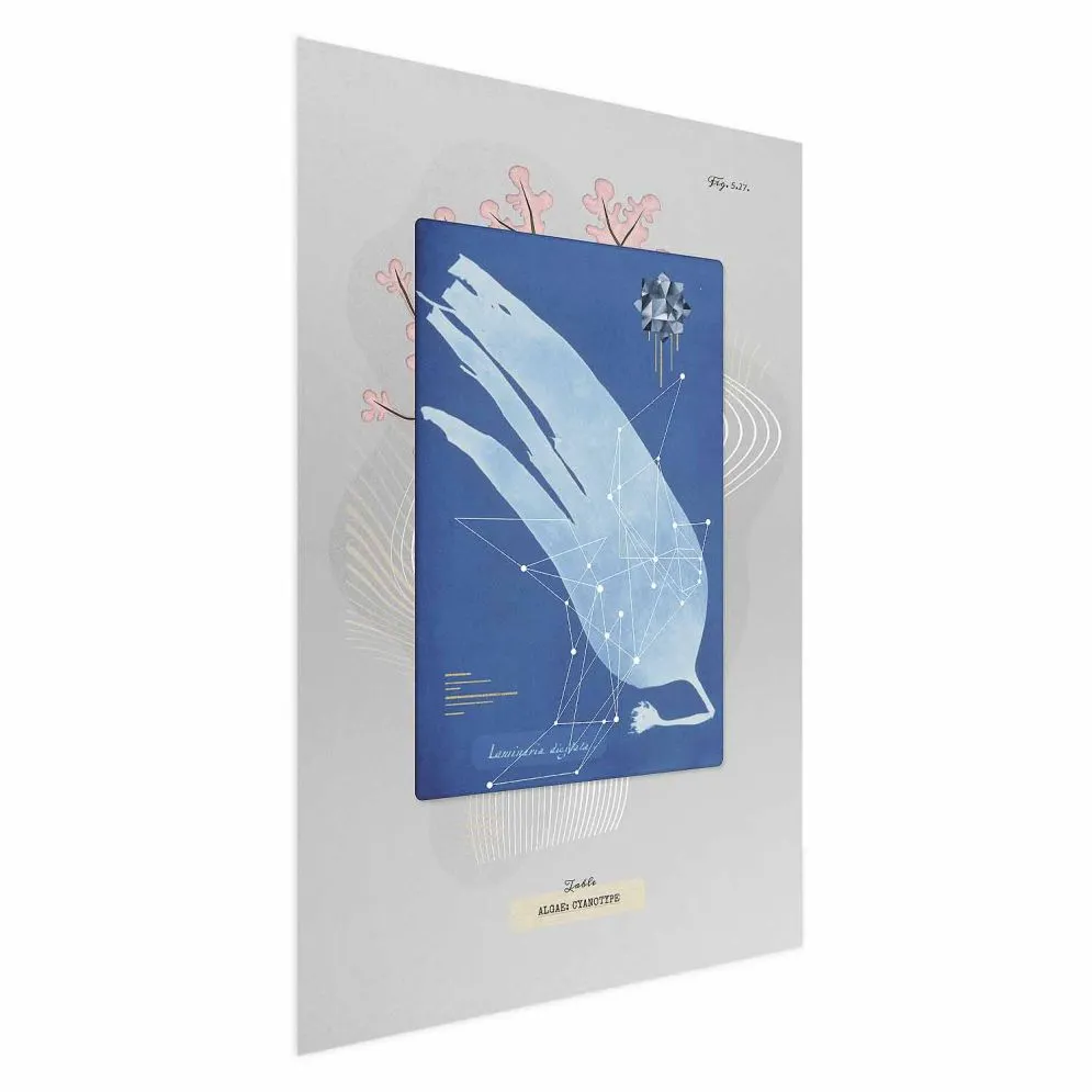 Plakat Glon 60x90 cm bez ramy bez marginesu | MIRAT.
