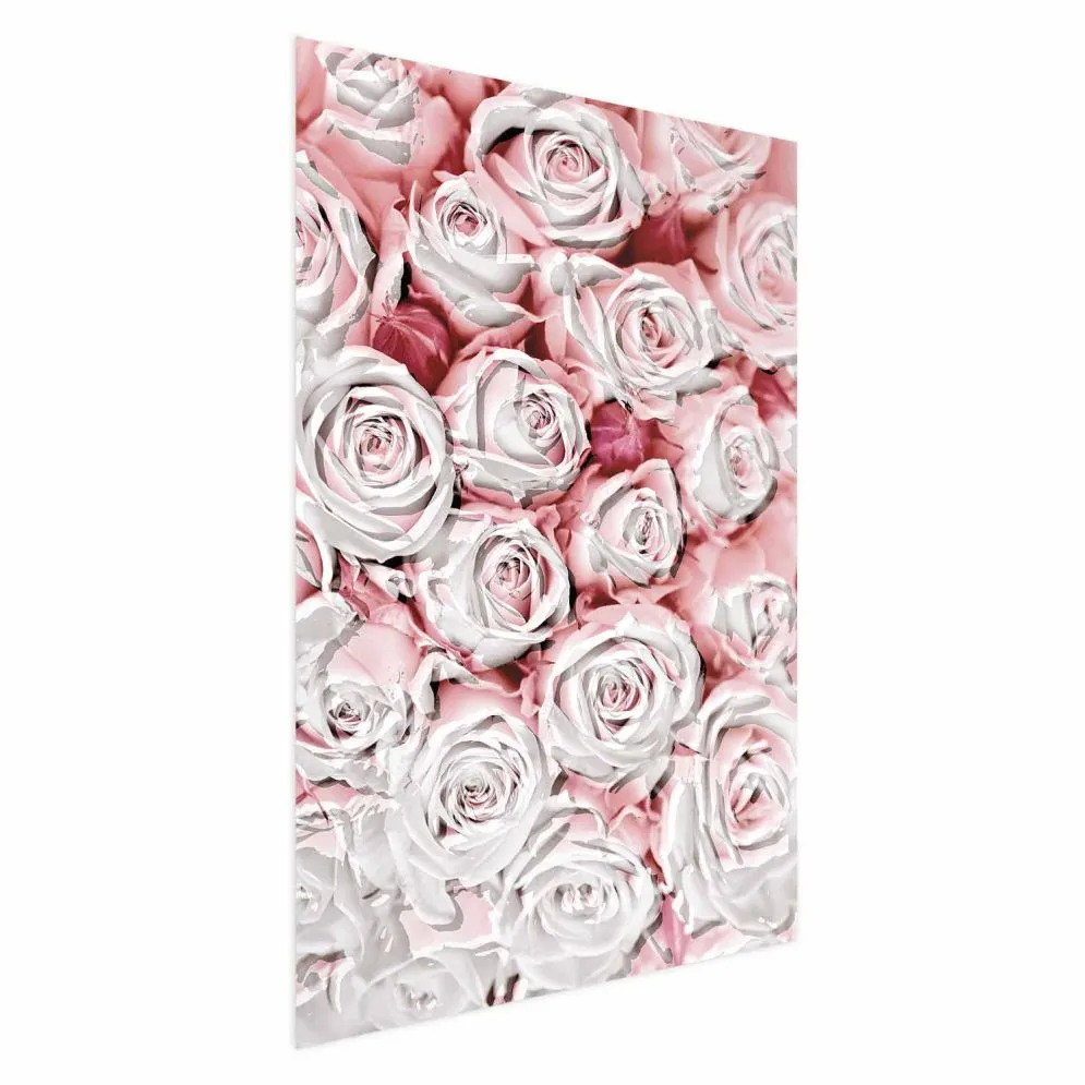 Plakat Białe róże 60x90 cm bez ramy bez marginesu | MIRAT.
