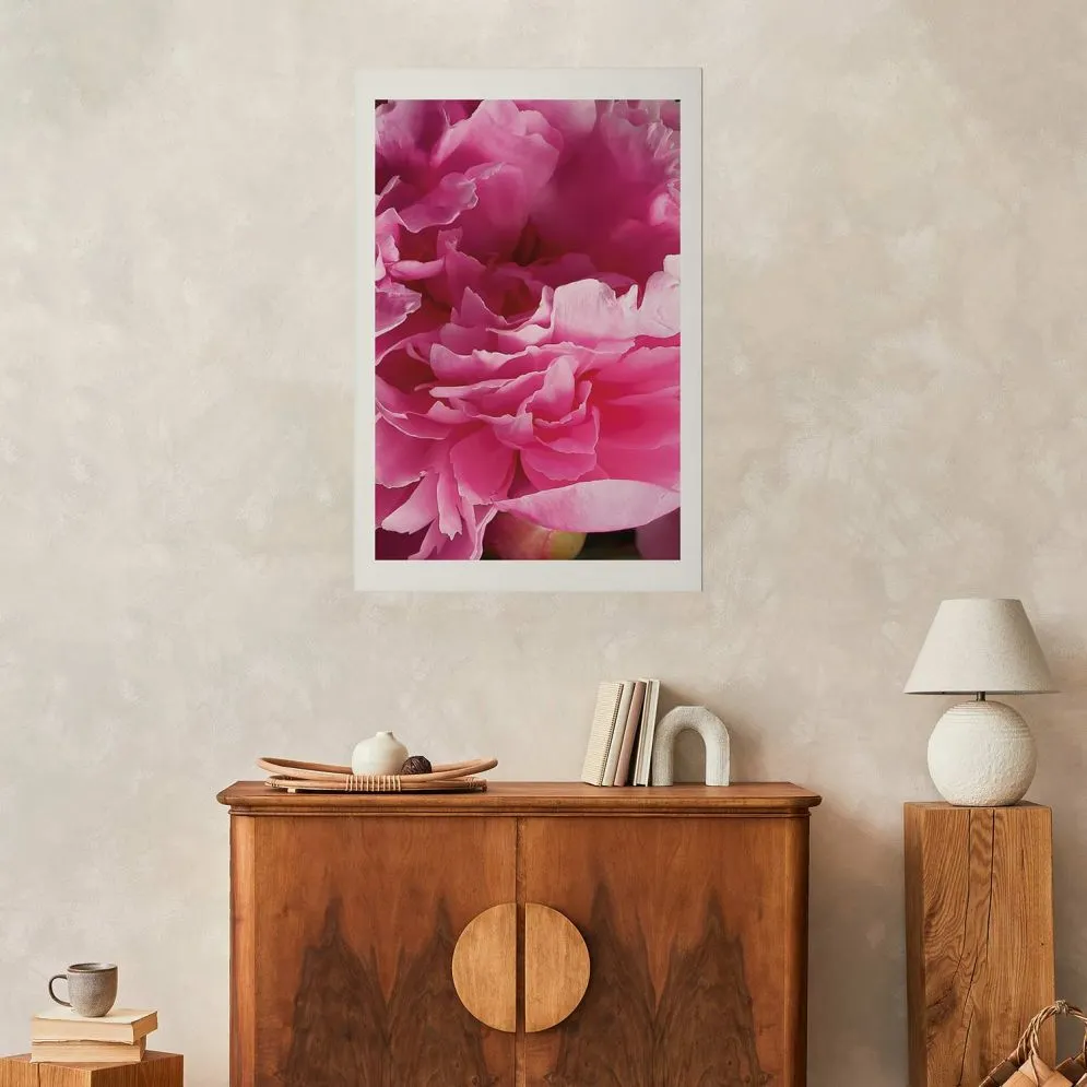 Plakat Piękne piwonie 21x30 cm bez ramy z marginesem | MIRAT.