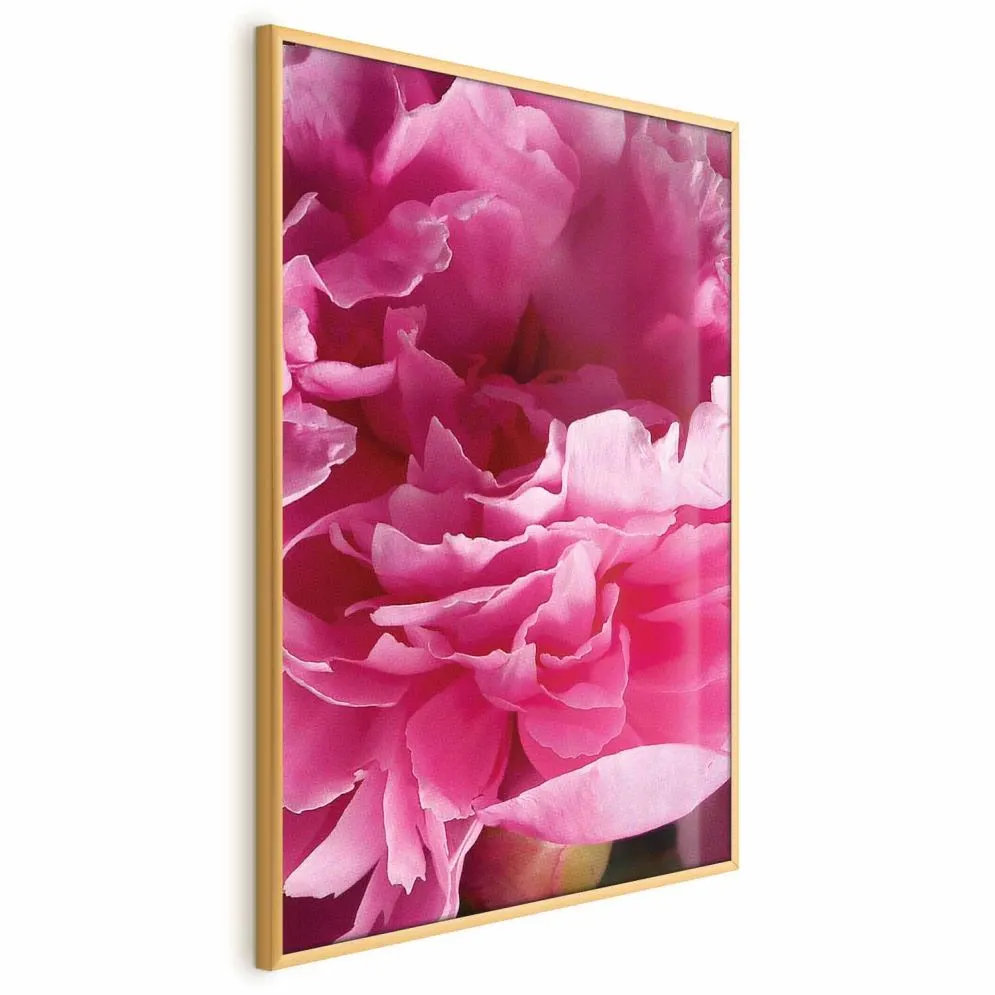 Plakat Piękne piwonie 21x30 cm z ramą złotą bez marginesu | MIRAT.