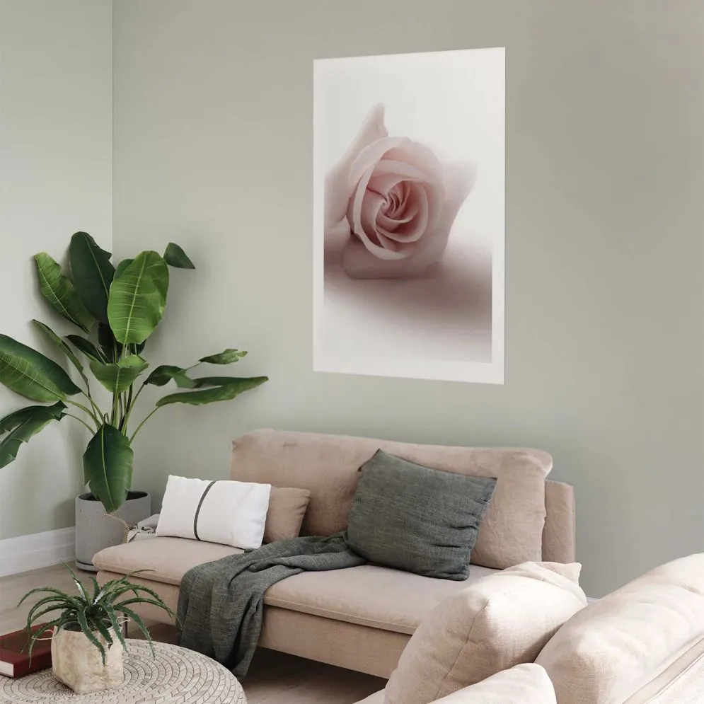 Plakat Różany cień 21x30 cm bez ramy z marginesem | MIRAT.