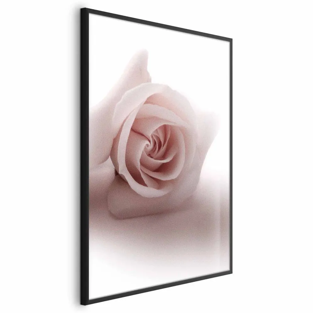 Plakat Różany cień 60x90 cm z ramą czarną bez marginesu | MIRAT.