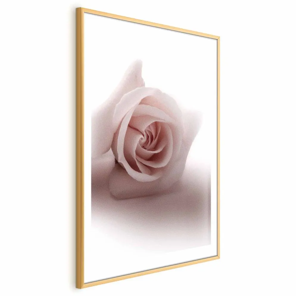 Plakat Różany cień 29,7x42 cm z ramą złotą z marginesem | MIRAT.