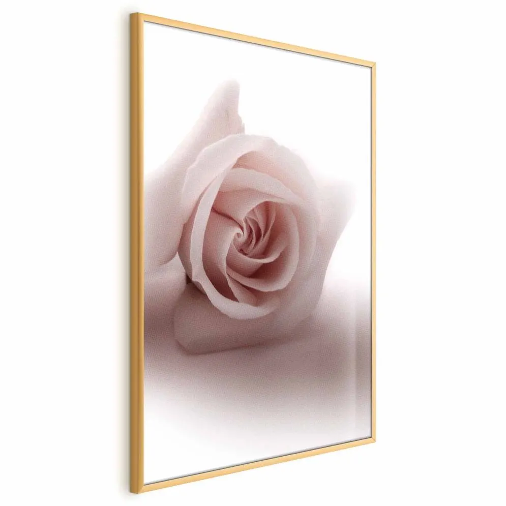 Plakat Różany cień 29,7x42 cm z ramą złotą bez marginesu | MIRAT.