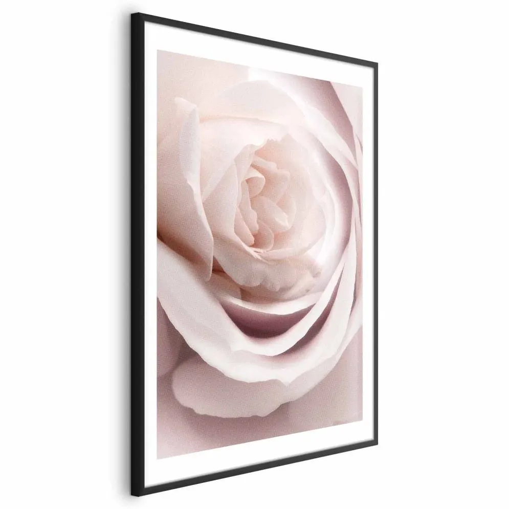 Plakat Porcelanowa róża 21x30 cm z ramą czarną z marginesem | MIRAT.