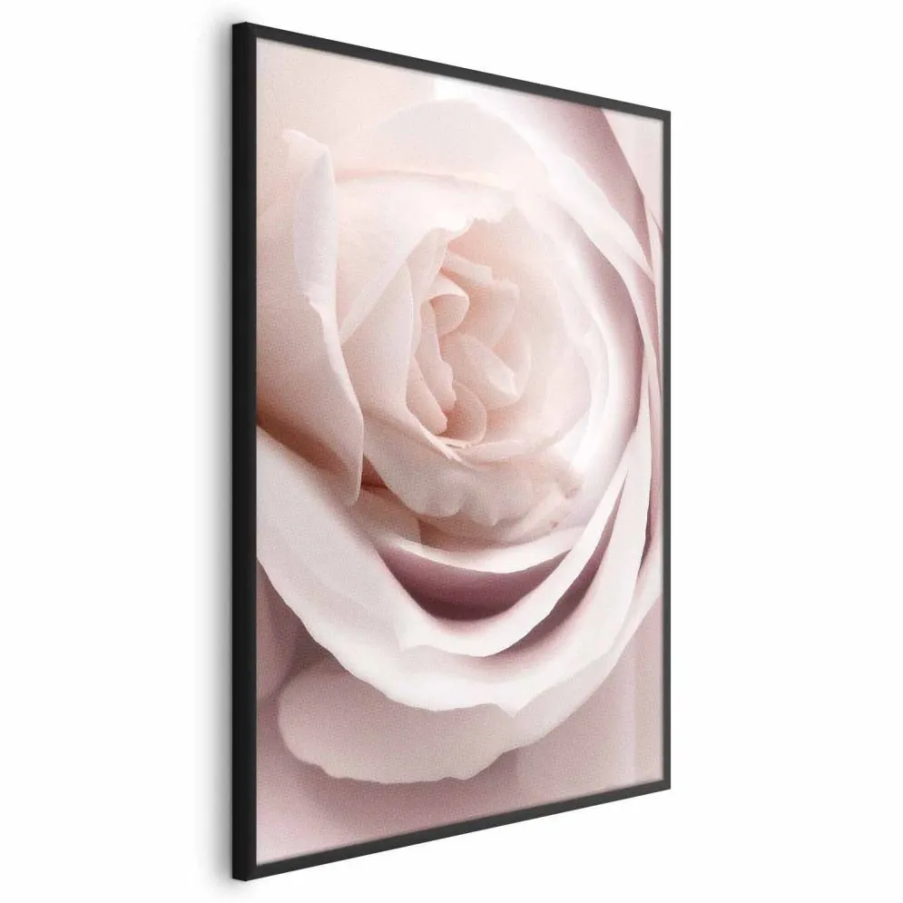 Plakat Porcelanowa róża 29,7x42 cm z ramą czarną bez marginesu | MIRAT.