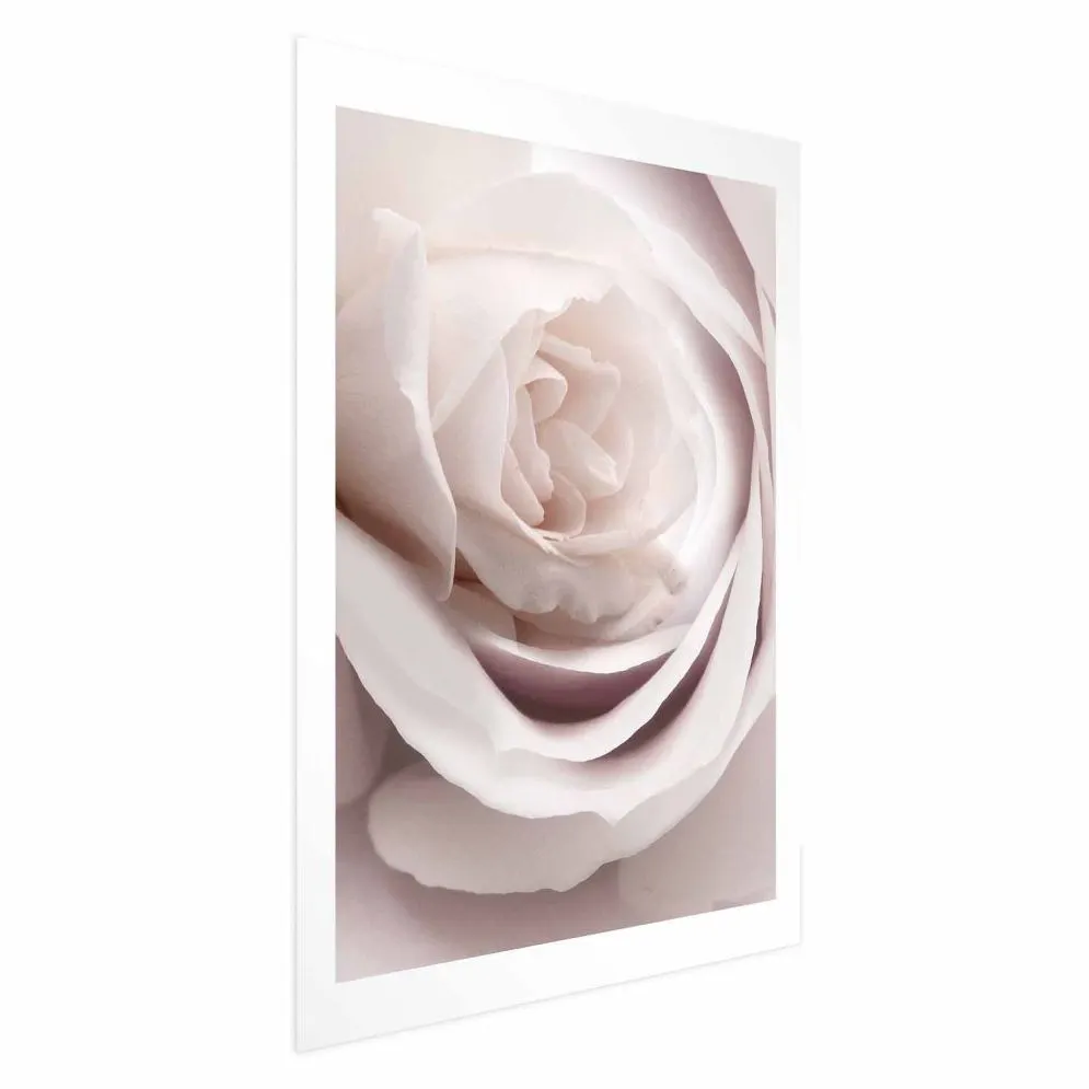 Plakat Porcelanowa róża 29,7x42 cm bez ramy z marginesem | MIRAT.