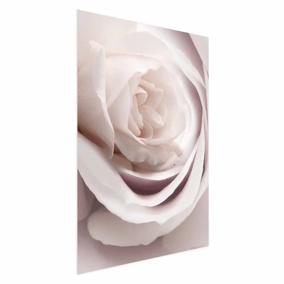 Plakat Porcelanowa róża 29,7x42 cm bez ramy bez marginesu | MIRAT.