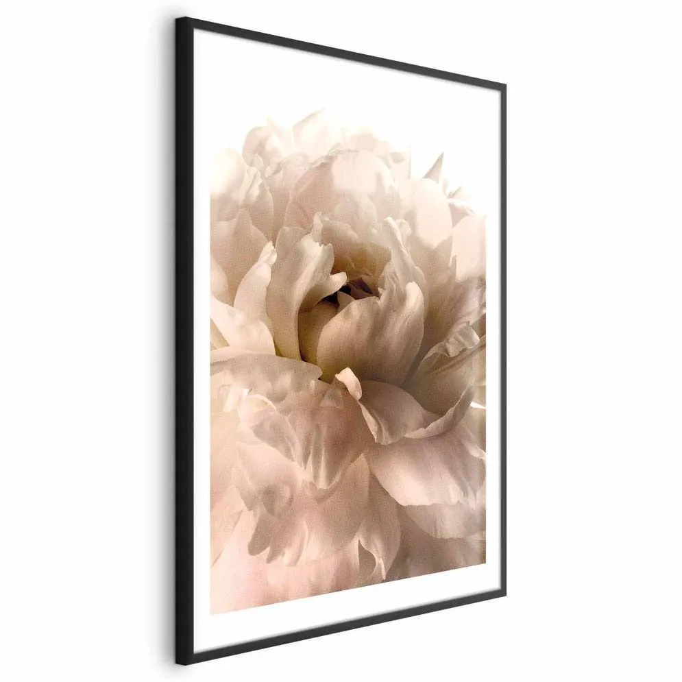 Plakat Miękkie płatki 29,7x42 cm z ramą czarną z marginesem | MIRAT.
