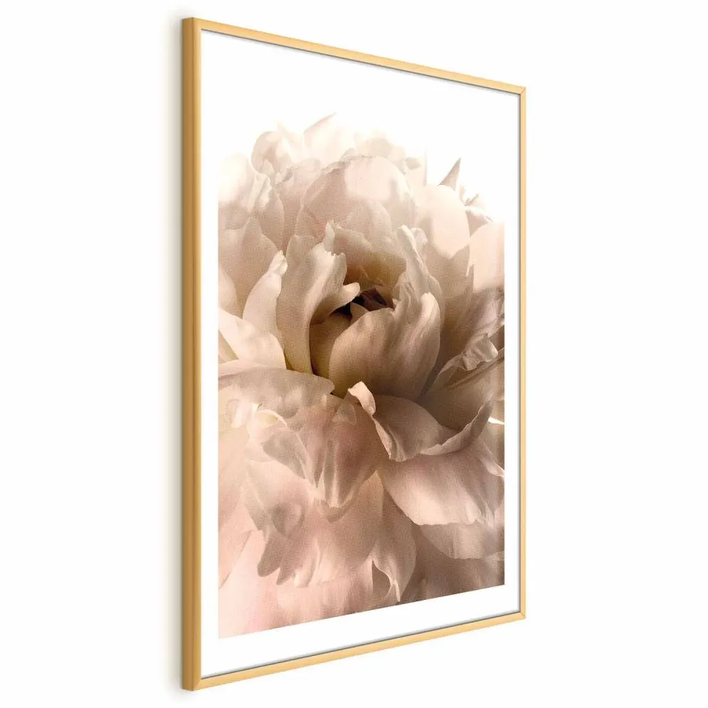 Plakat Miękkie płatki 60x90 cm z ramą złotą z marginesem | MIRAT.