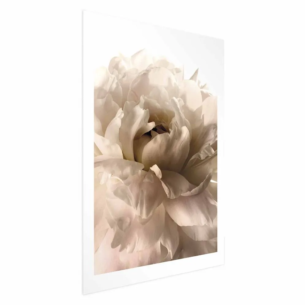 Plakat Miękkie płatki 29,7x42 cm bez ramy z marginesem | MIRAT.