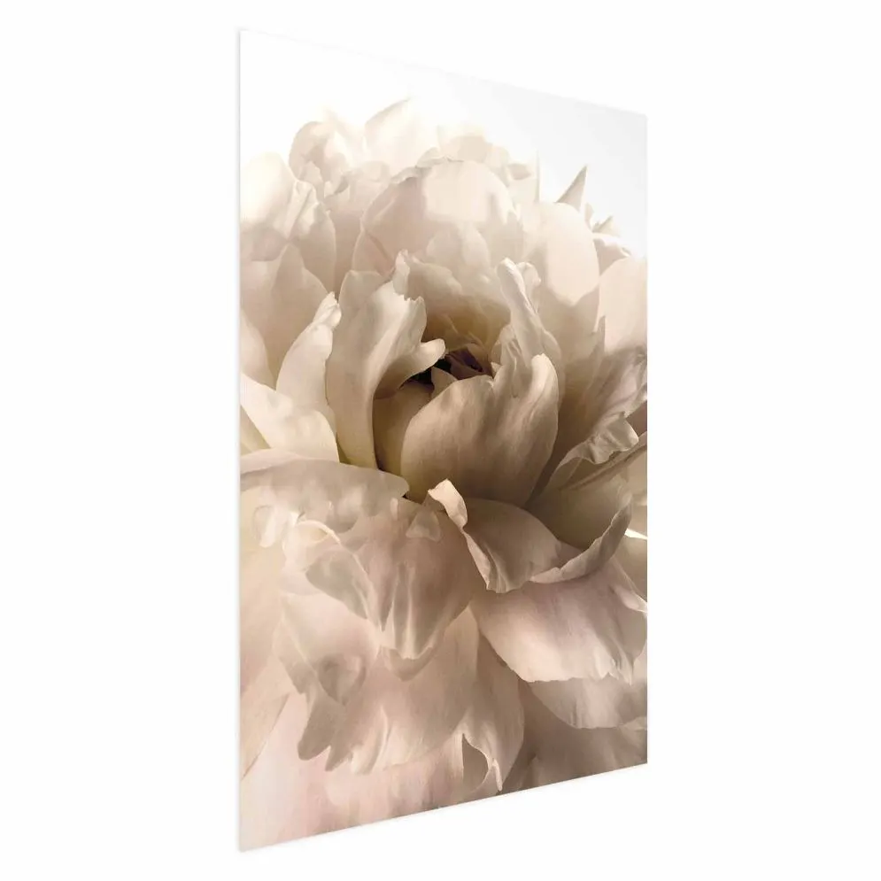 Plakat Miękkie płatki 60x90 cm bez ramy bez marginesu | MIRAT.