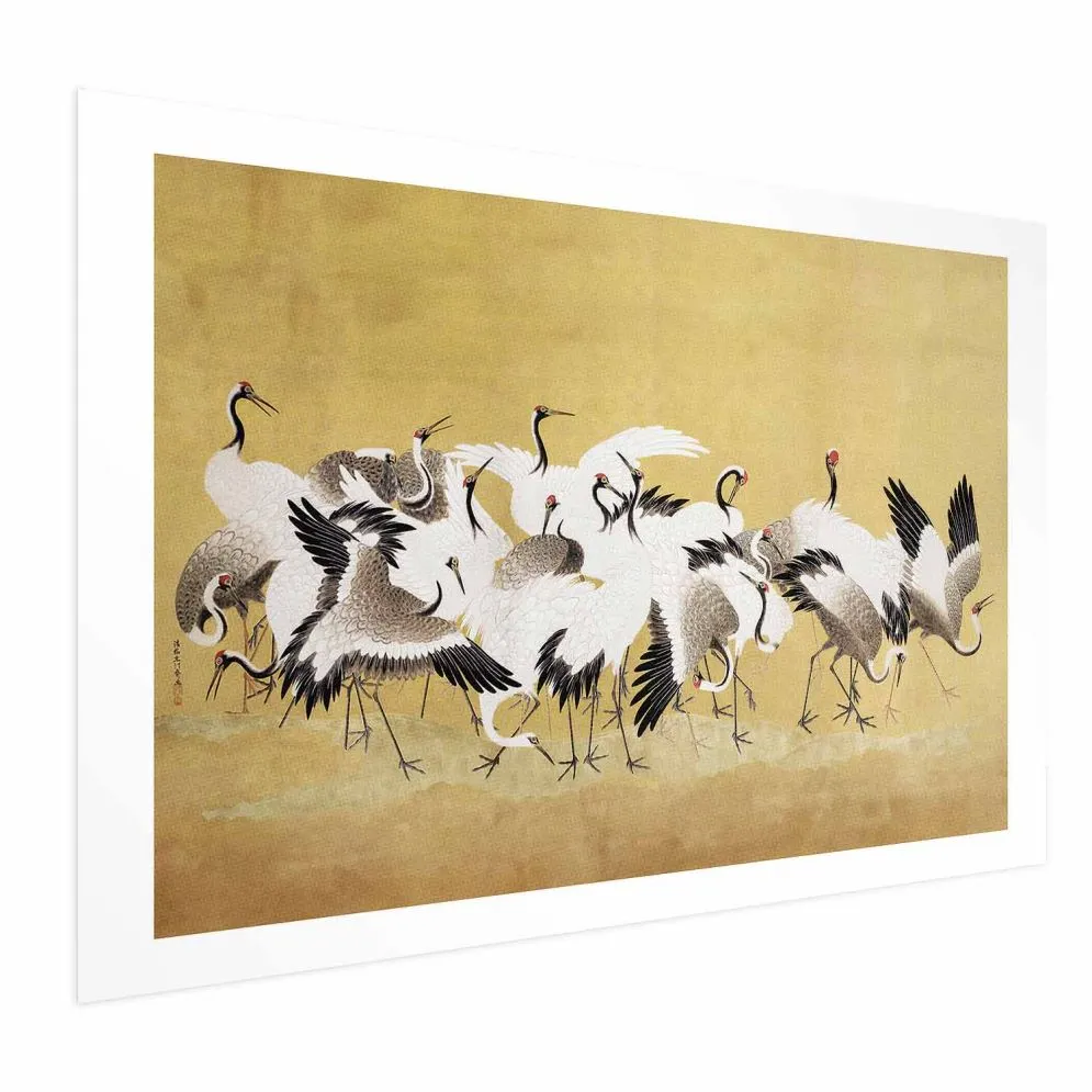 Plakat Japońskie żurawie 90x60 cm bez ramy z marginesem | MIRAT.