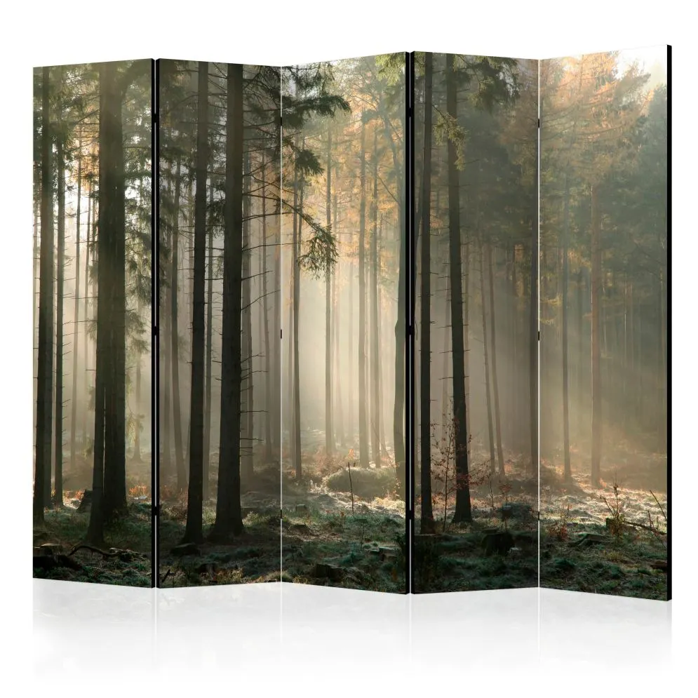 Parawan dwustronny Pejzaże 225x172 cm 5-częściowy zielony | MIRAT.