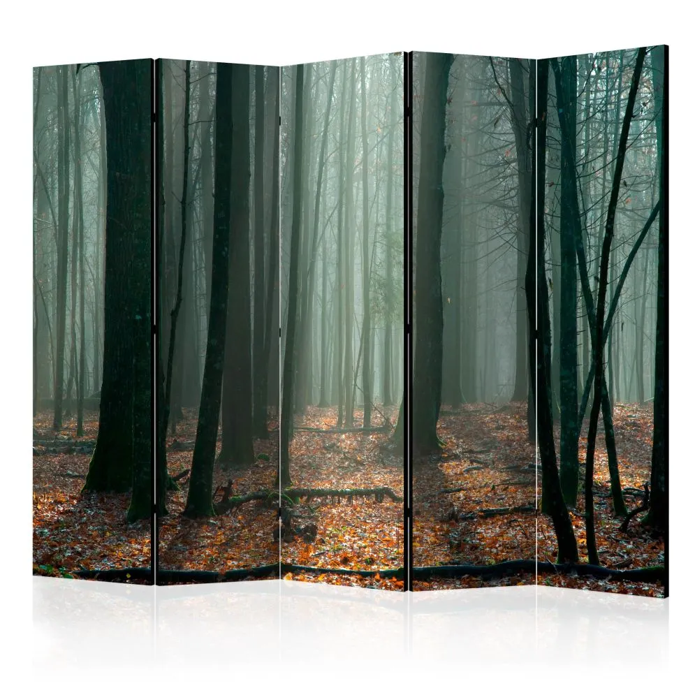Parawan dwustronny Pejzaże 225x172 cm 5-częściowy czarny | MIRAT.